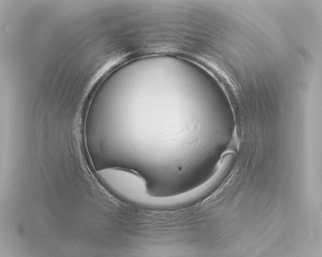 X0000116391325200912231102