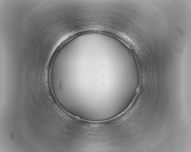 X0000116391326200912231102