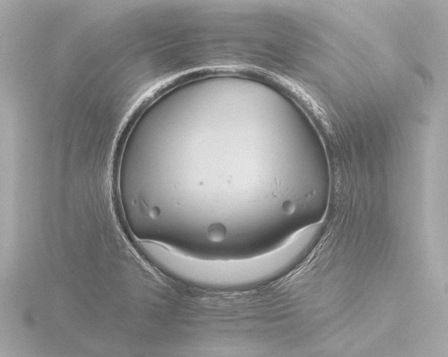 X0000116391327200912231102