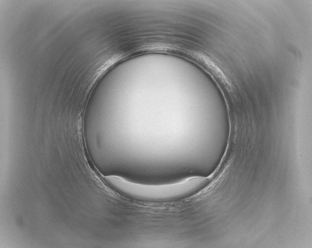 X0000116391329200912231102