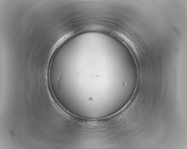 X0000116391330200912231102