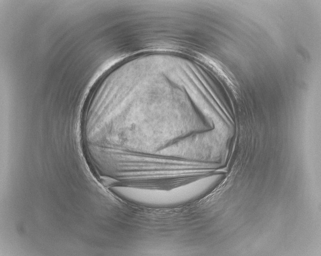 X0000116391331200912231102