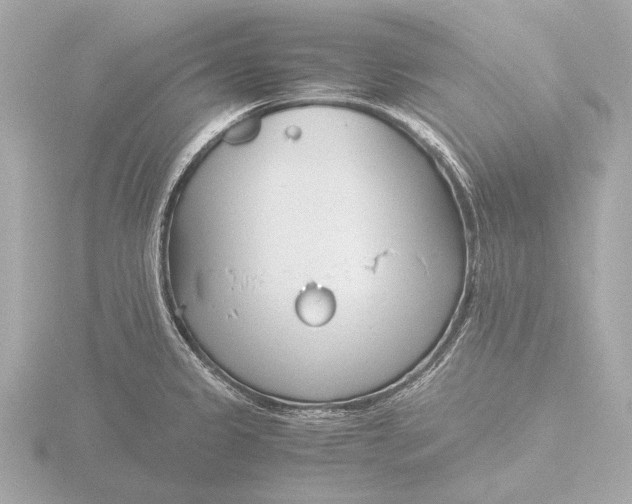 X0000116391333200912231102