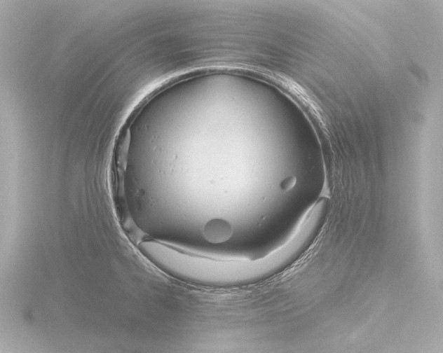 X0000116391334200912231102