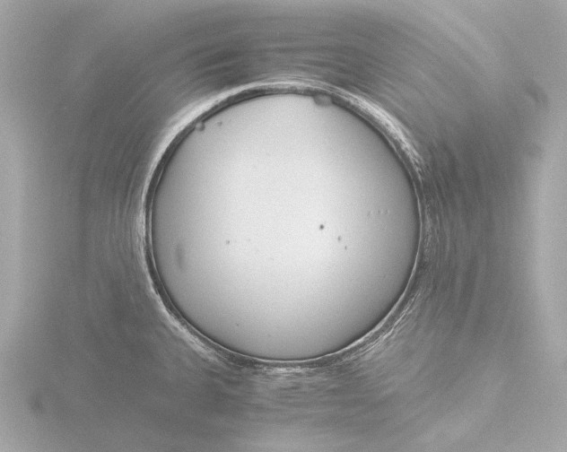 X0000116391335200912231102