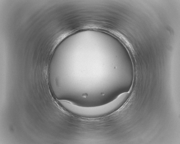 X0000116391337200912231102