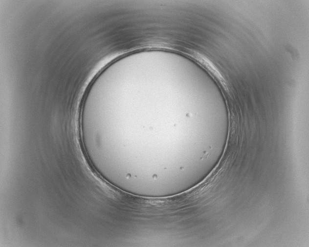 X0000116391339200912231102