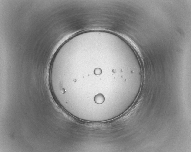 X0000116391341200912231102