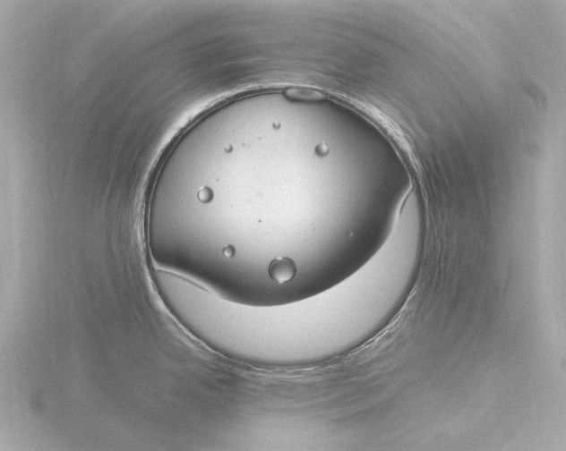 X0000116391342200912231102