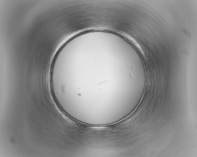 X0000116391343200912231102