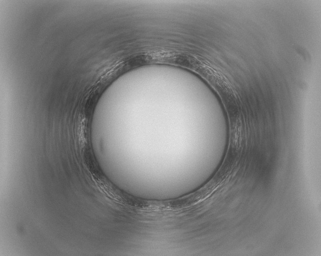 X0000116391346200912231101