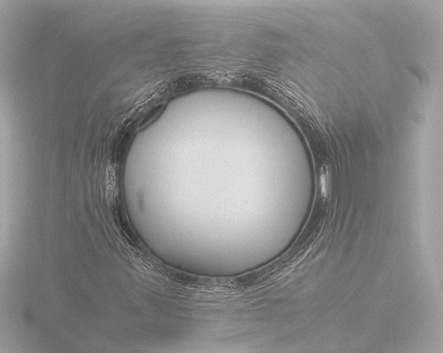 X0000116391347200912231101