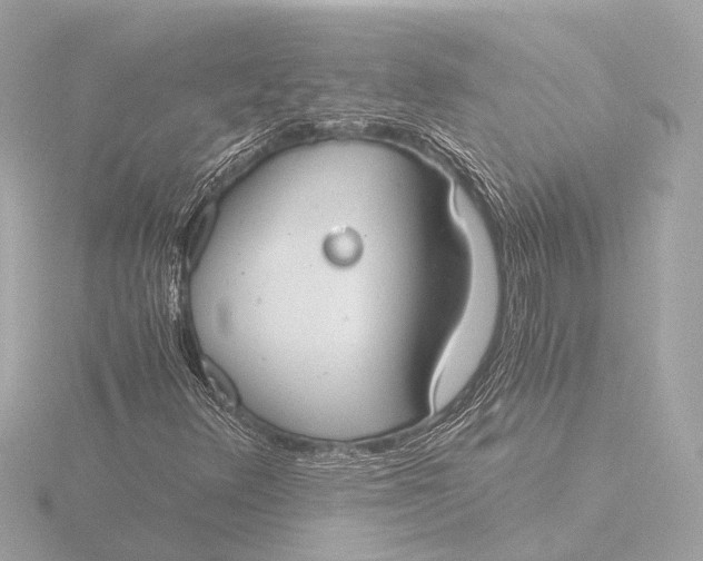 X0000116391348200912231101