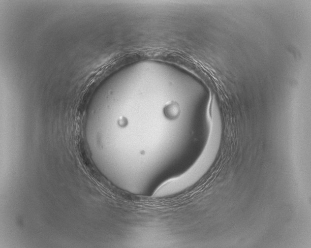 X0000116391349200912231101