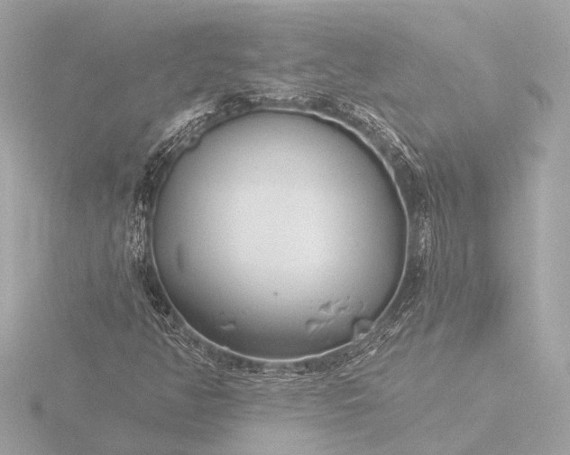 X0000116391350200912231101