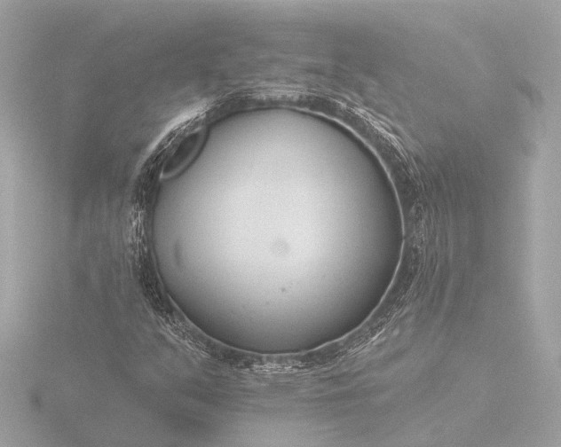 X0000116391351200912231101