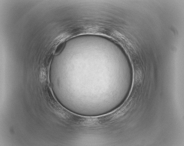 X0000116391353200912231101