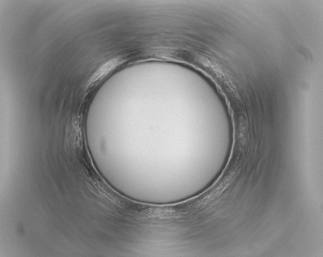 X0000116391354200912231101