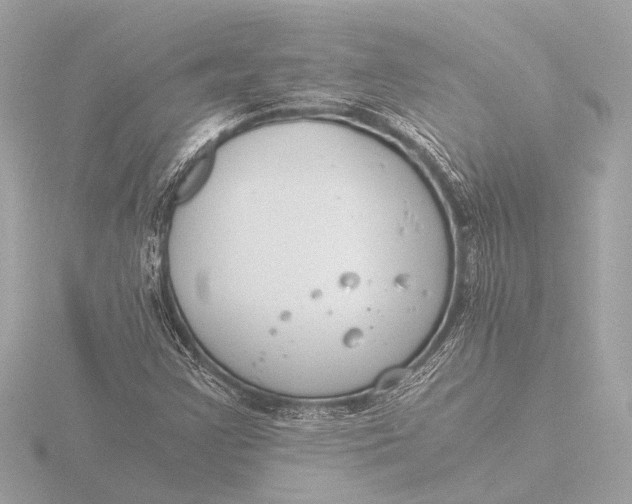 X0000116391355200912231101