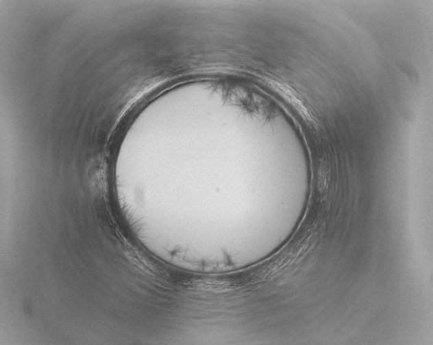 X0000116391356200912231101