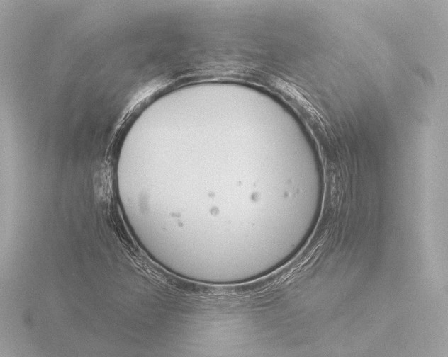 X0000116391358200912231101