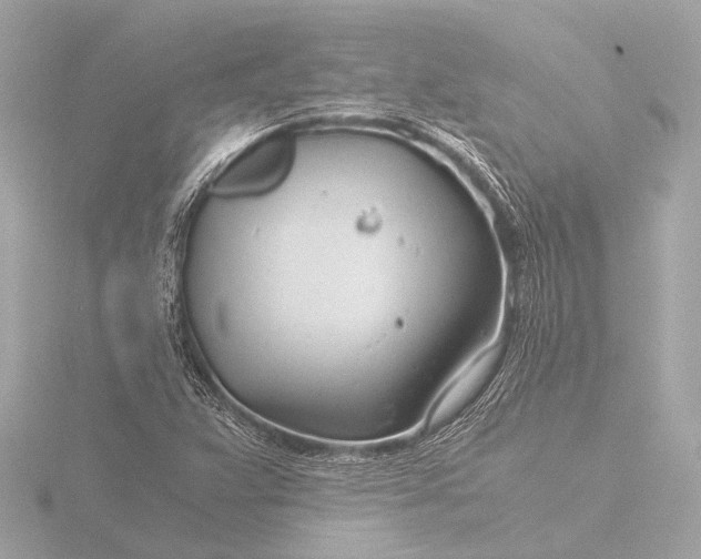 X0000116391359200912231101