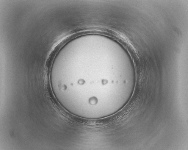 X0000116391360200912231101