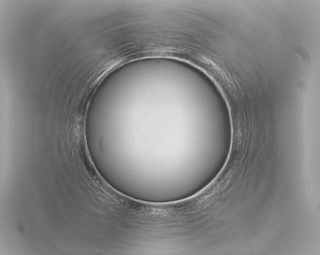 X0000116391361200912231101