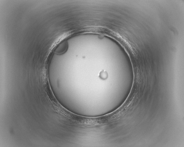 X0000116391362200912231101