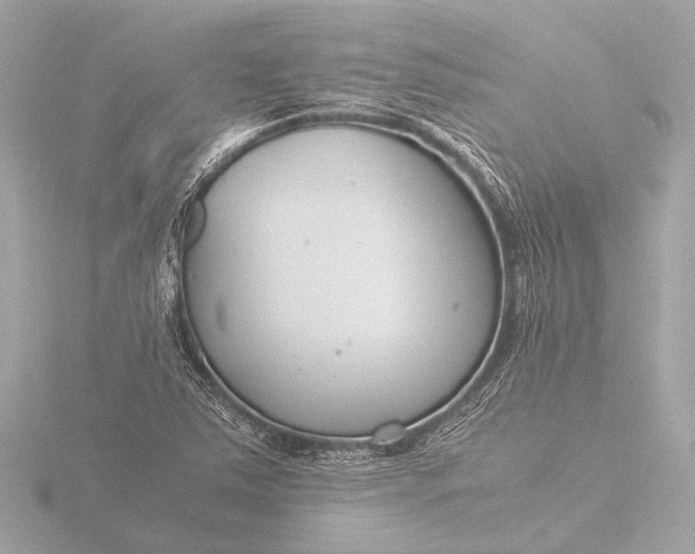 X0000116391363200912231101