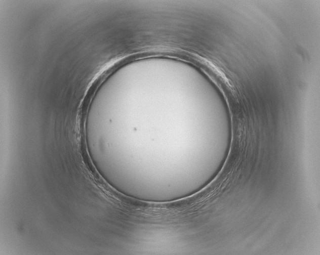 X0000116391364200912231101