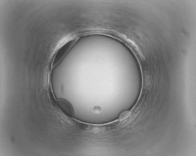 X0000116391365200912231101