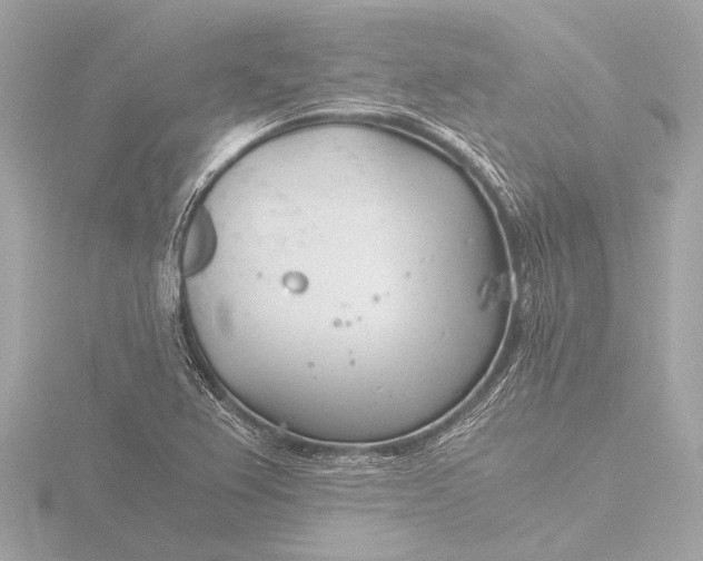 X0000116391367200912231101