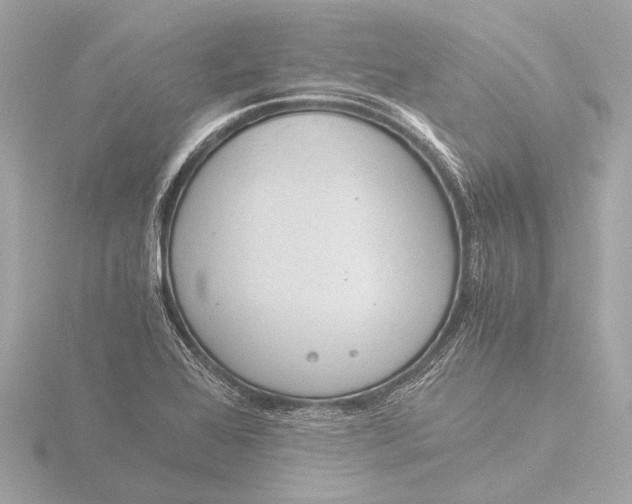 X0000116391368200912231101