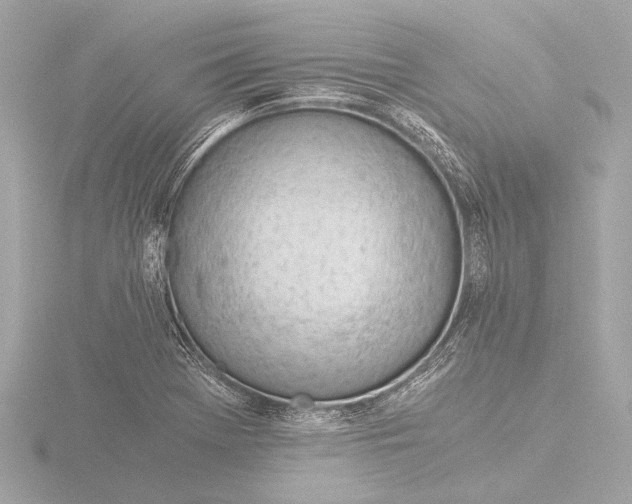 X0000116391369200912231101