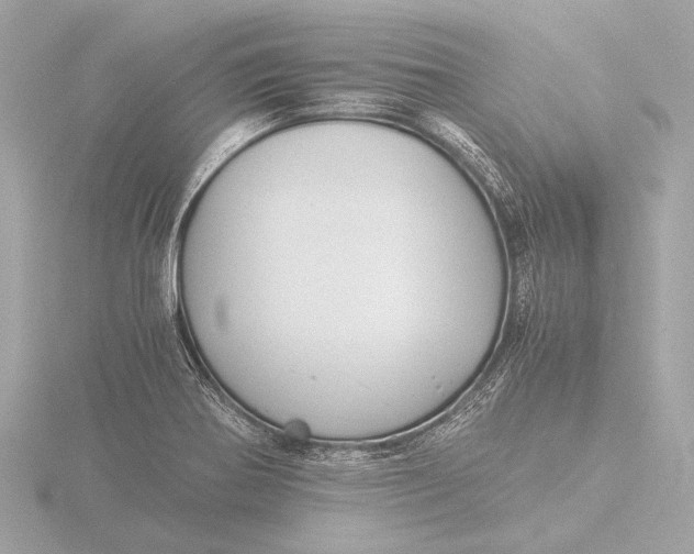 X0000116391370200912231101