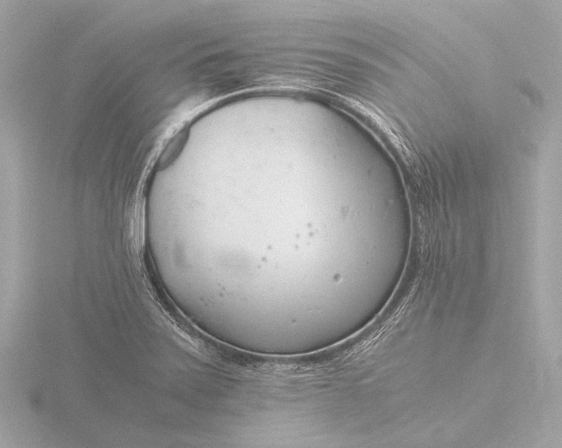 X0000116391371200912231101