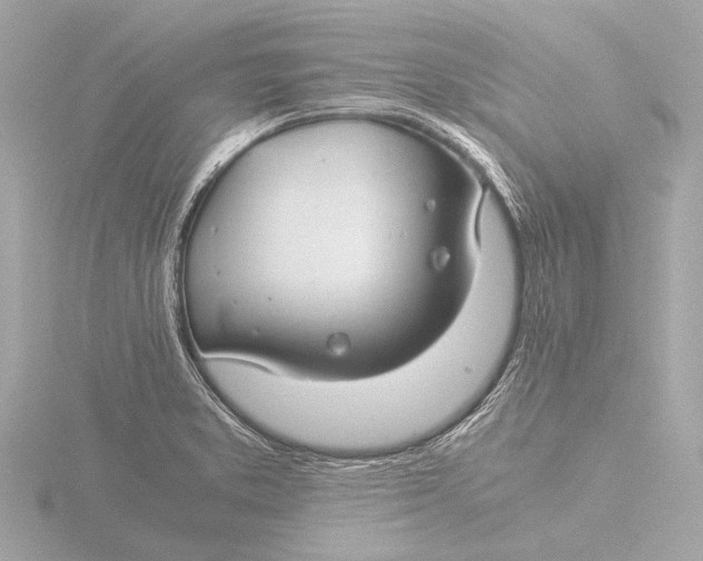 X0000116391373200912231101