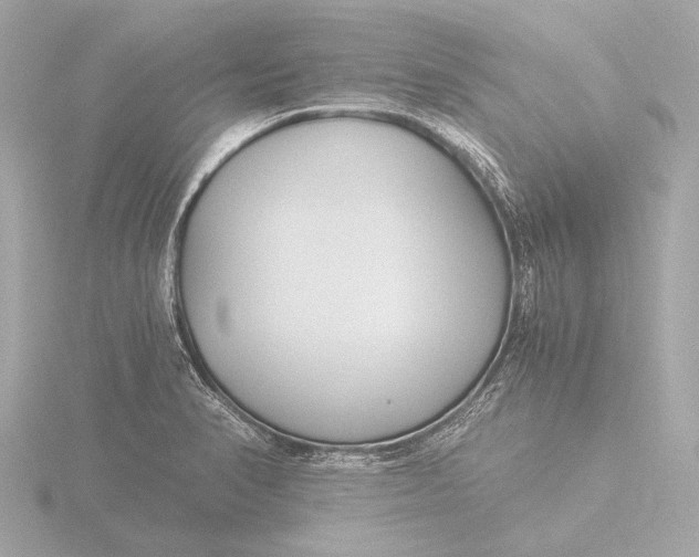 X0000116391374200912231101