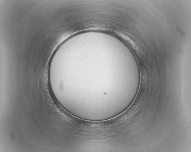 X0000116391375200912231101