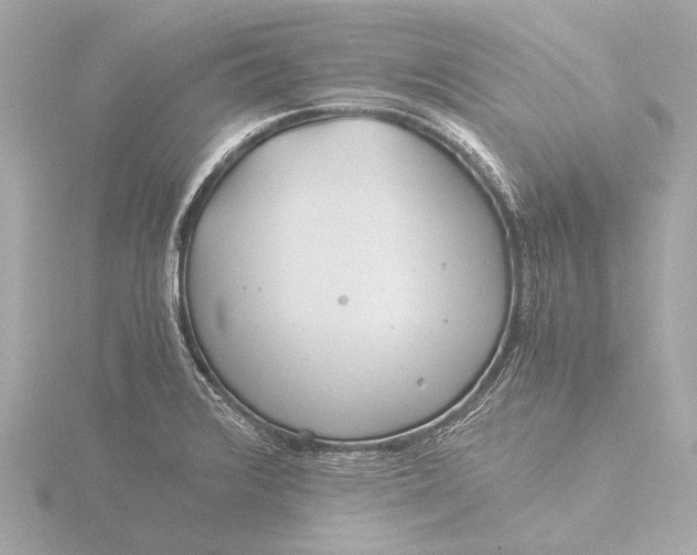 X0000116391376200912231101