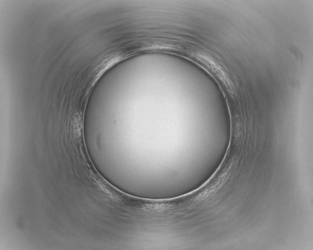 X0000116391377200912231101