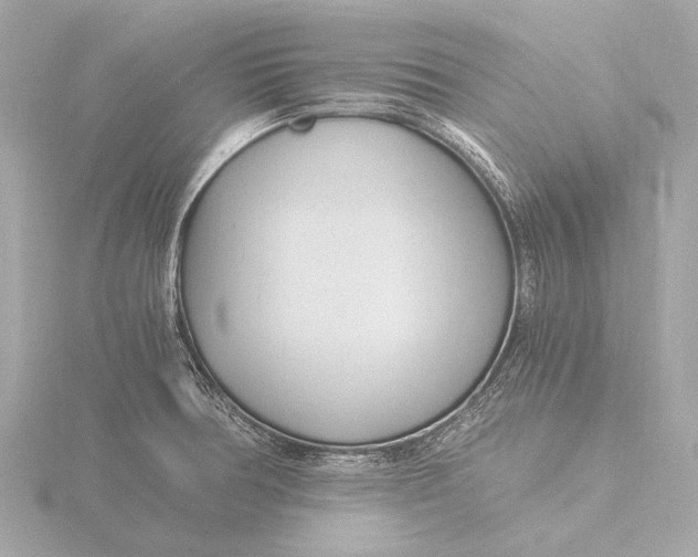 X0000116391378200912231101