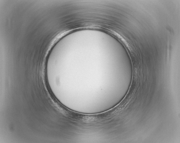 X0000116391379200912231101