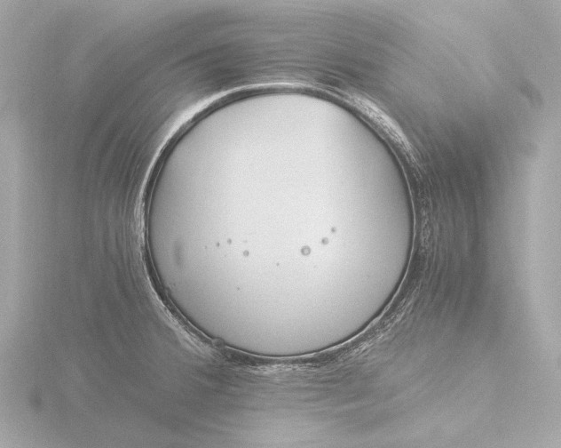 X0000116391380200912231101