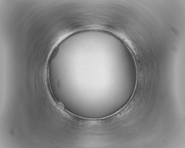 X0000116391381200912231101