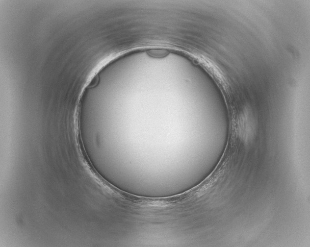 X0000116391382200912231101