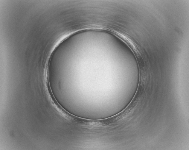 X0000116391383200912231101