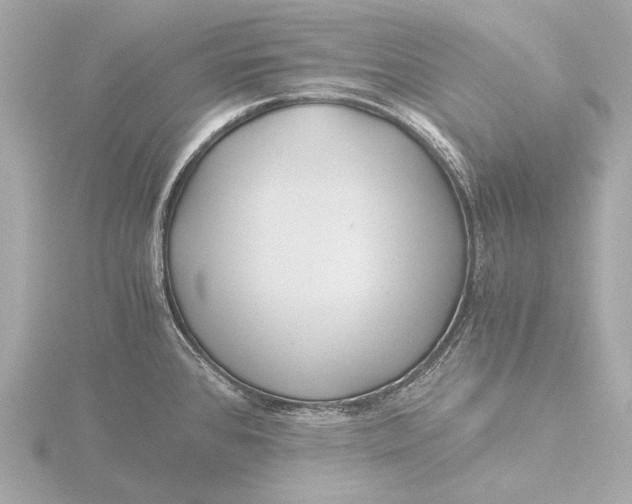 X0000116391384200912231101