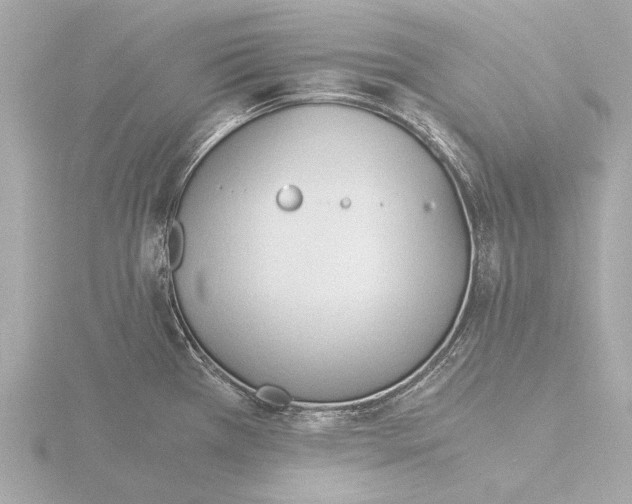 X0000116391385200912231101